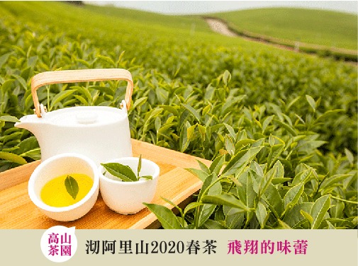2020阿里山烏龍茶春茶