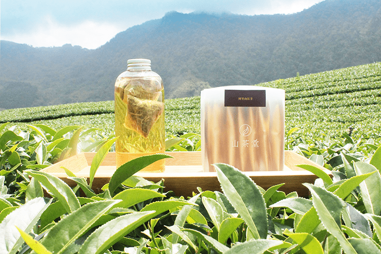阿里山高山烏龍春茶（2023 阿里山春茶） | 茶包組（售完）